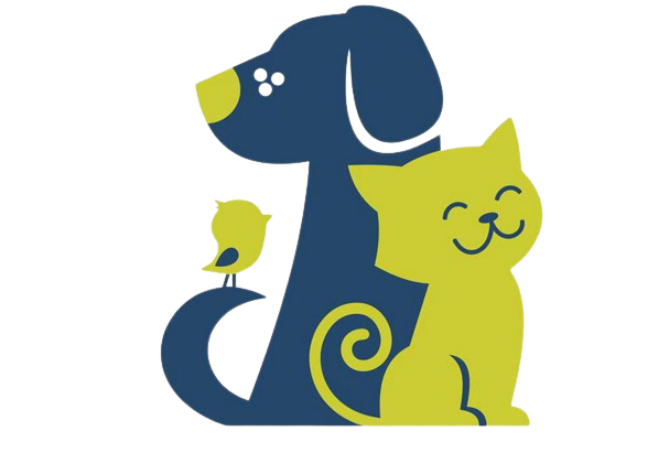 2nd Hand Pet Accessories 